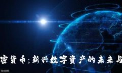 :WESLY加密货币：新兴数字