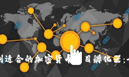 如何找到适合的加密货币项目孵化器：全面指南